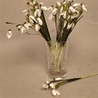 hvide vintergækker grønne blade gamle kunstige blomster  vintageblomster